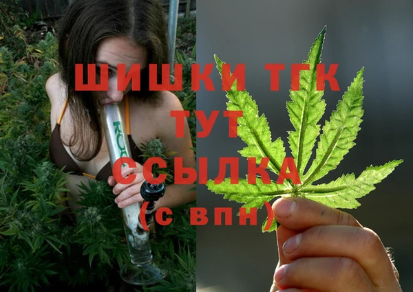 ГАЛЛЮЦИНОГЕННЫЕ ГРИБЫ Майский