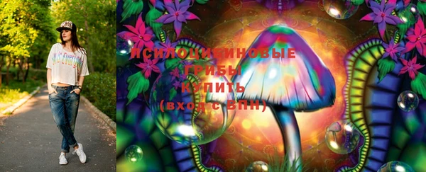 ГАЛЛЮЦИНОГЕННЫЕ ГРИБЫ Майский