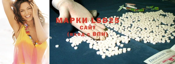 ГАЛЛЮЦИНОГЕННЫЕ ГРИБЫ Майский