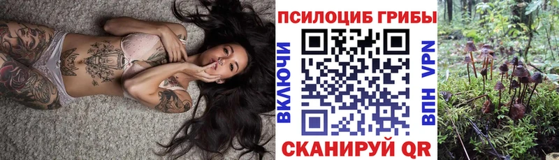 где найти наркотики  Скопин  Псилоцибиновые грибы MAGIC MUSHROOMS 