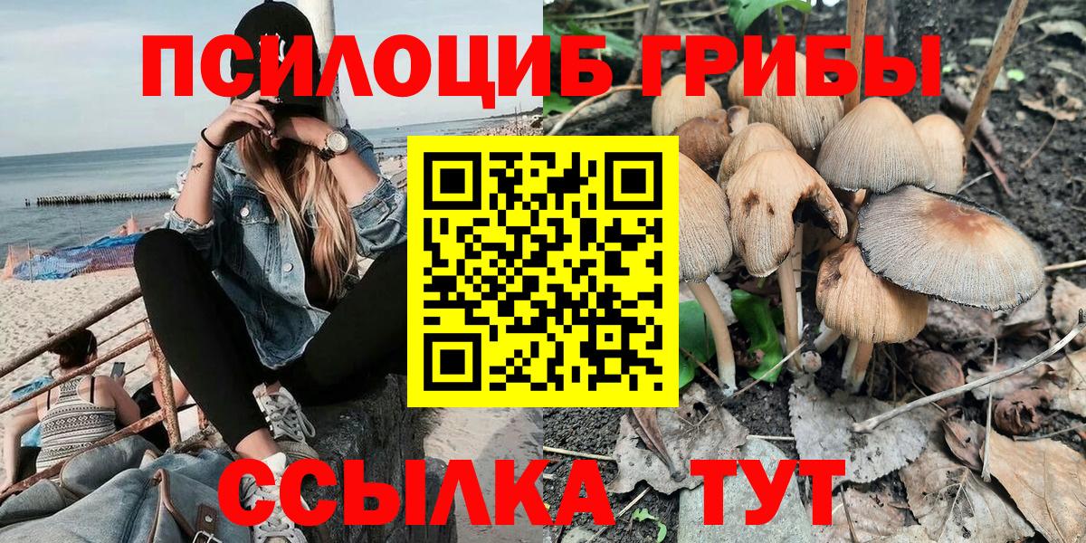 Галлюциногенные грибы мицелий  Вход с VPN  Псилоцибиновые грибы Psilocybine cubensis  Скопин 