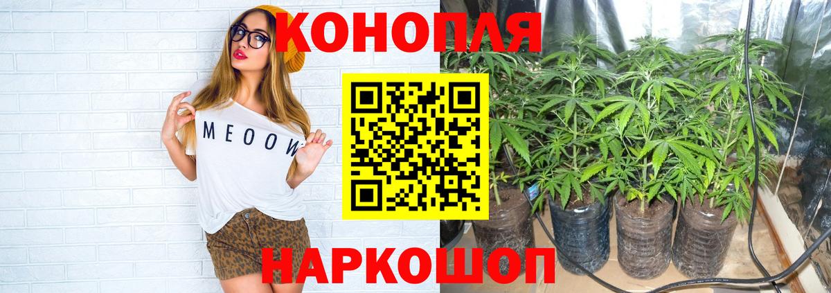 Бошки марихуана Ganja  Шишки марихуана Ganja  Канабис план  Вход с VPN  Скопин  Каннабис сатива 